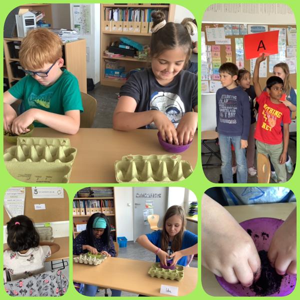 Insektenprojekt Insektenprojekt